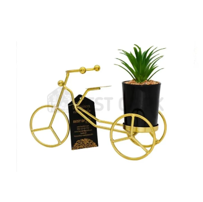 Metal Cycle in Golden Color With Ceramic Flower Pot