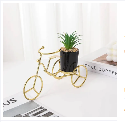 Metal Cycle in Golden Color With Ceramic Flower Pot